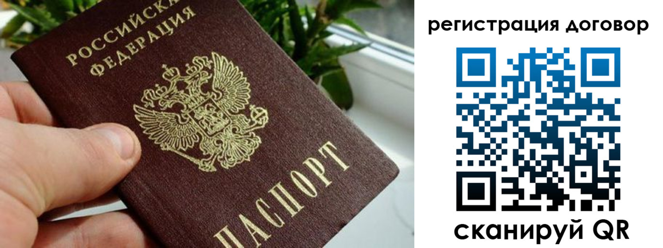 прописка ребенка в Петушках